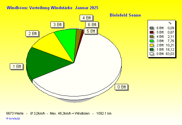 Windstärke im Januar 2025